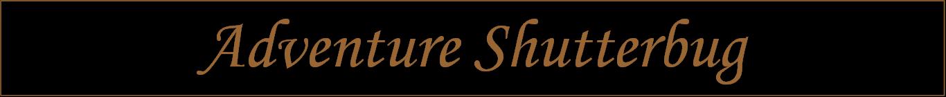 Visit the Bluebonnet Gallery