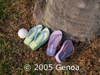 Rubba Slippers